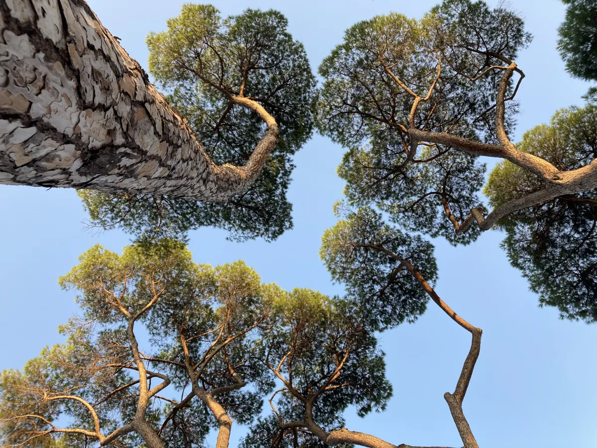 Retraite - La confiance en soi et en la vie