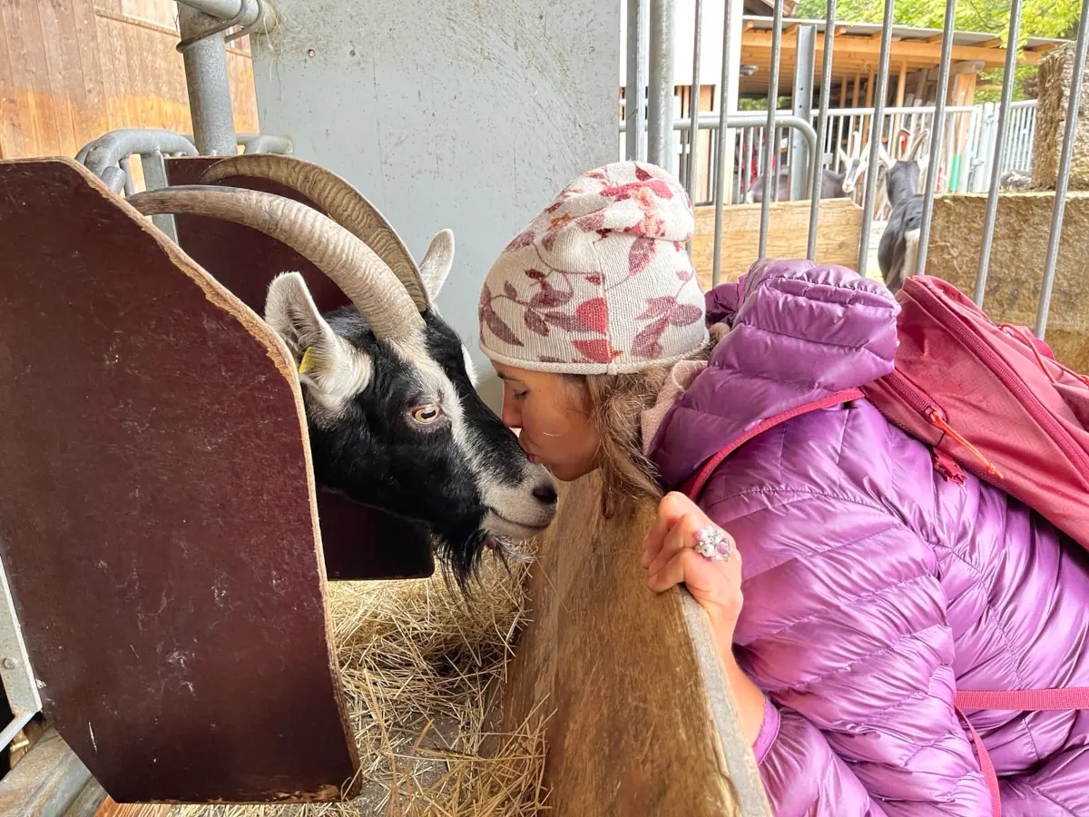 Lelan du coeur - Communication animale avec une chèvre
